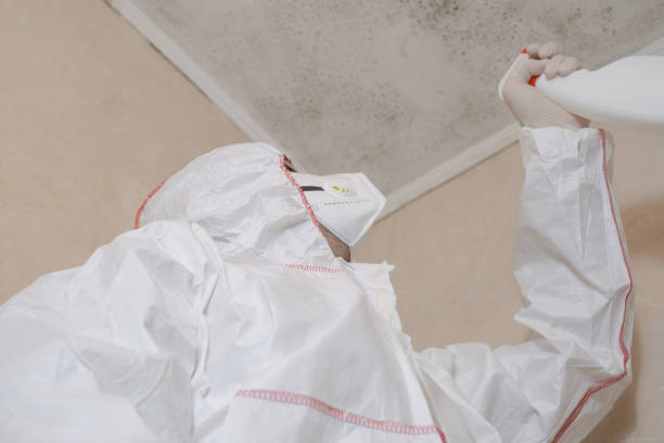 Best Office Mold Removal Services  in Skyline, AL