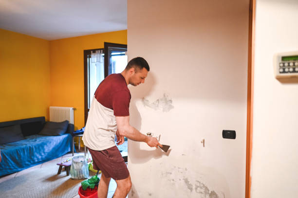 Best Crawl Space Mold Removal  in Skyline, AL